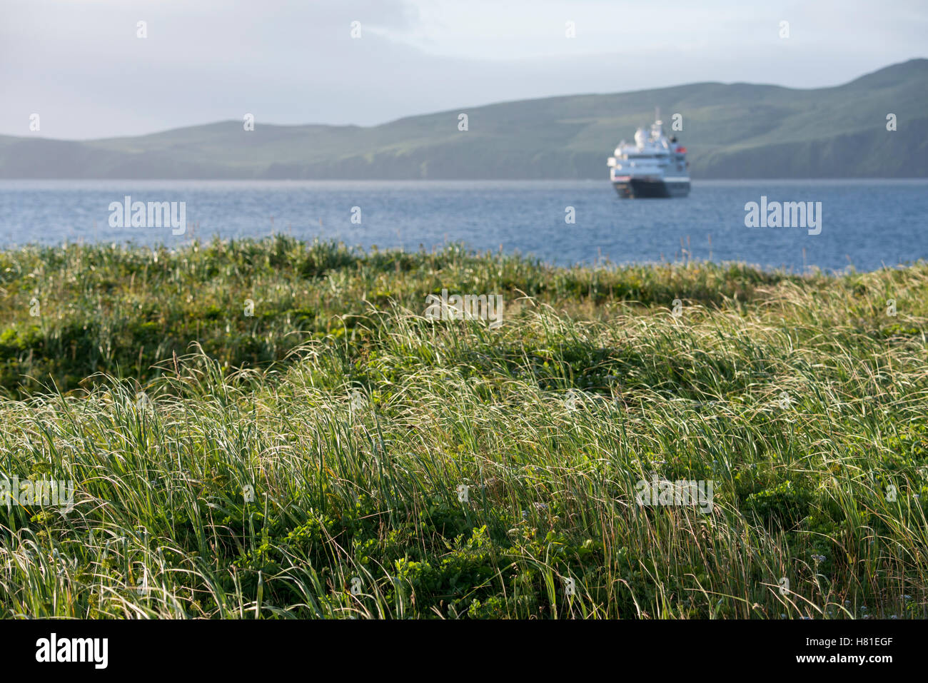 Alaska Aleuten Inselkette Ratte Inseln Kiska Insel Aleuten Wilderness Area Stockfotografie Alamy