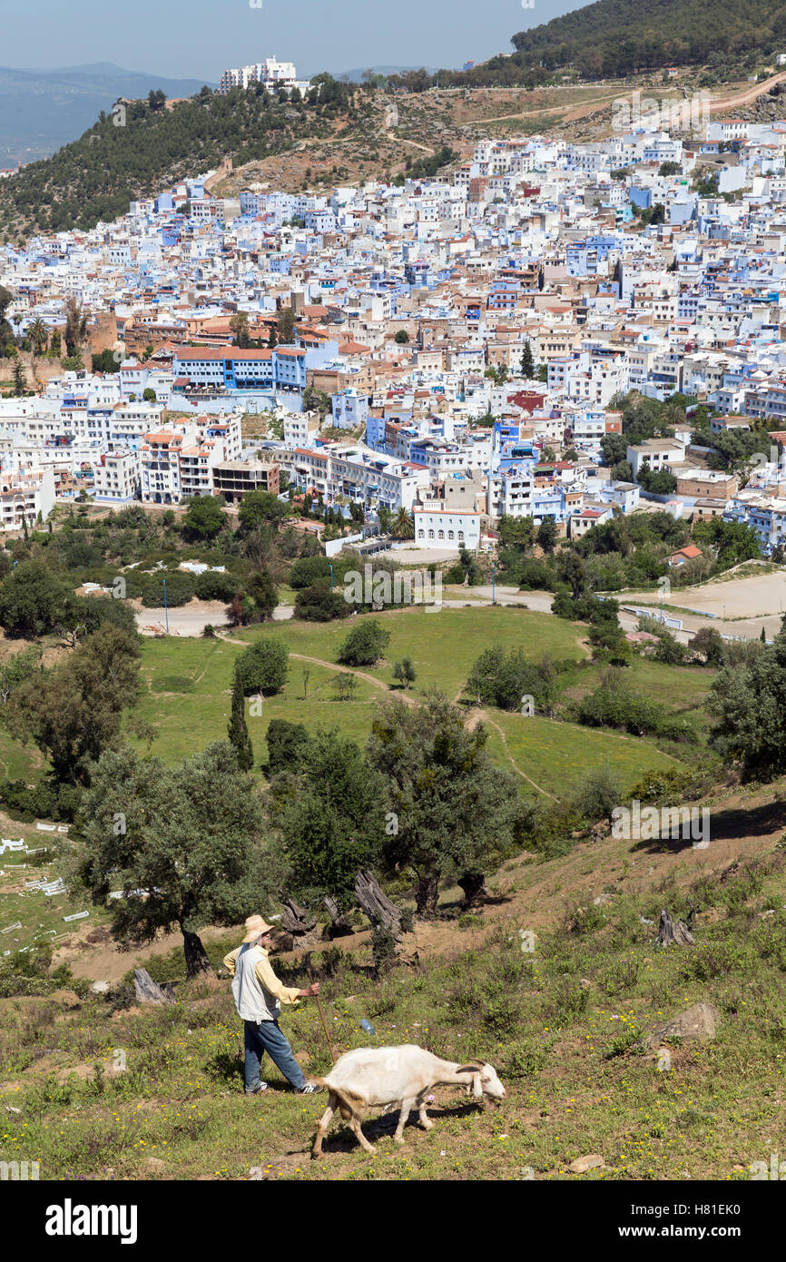 Marokko, Chefchaouen, Hirt mit Ziege mit Blick auf die Stadt Stockfoto