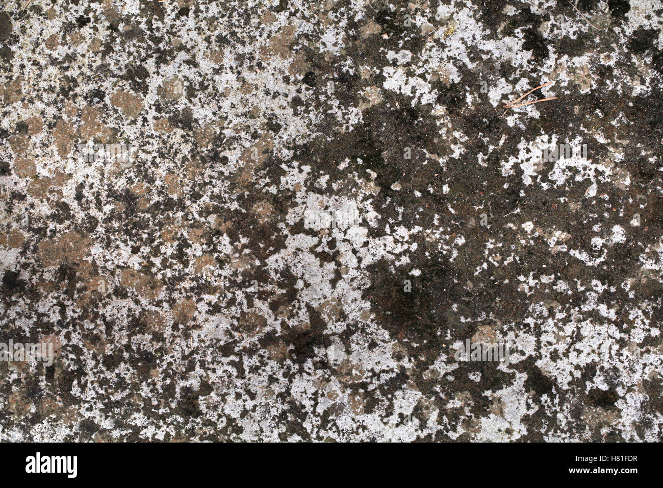 Rustic Stone Floor Stockfotos & Rustic Stone Floor Bilder - Alamy