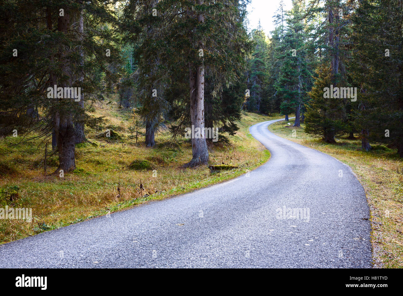 Bergstraße in den Bergen Dolomiten, Italien Stockfoto