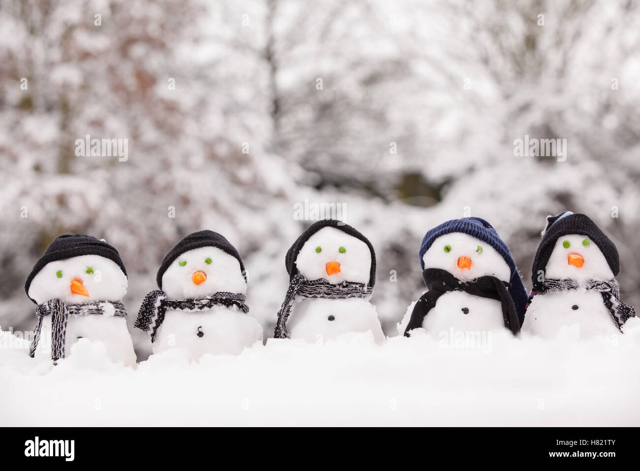 Fünf niedliche Schneemänner gekleidet für den Winter, alle mit Blick nach vorne und setzte sich auf Schnee. Schneemänner tragen Hüte und Schals mit Karotte Nasen. Stockfoto