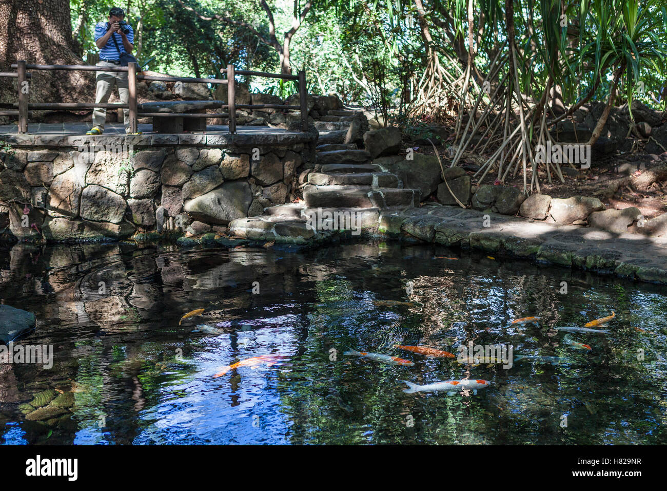 Fotografen fotografieren lebendige Fische im Teich, Casela Natur und