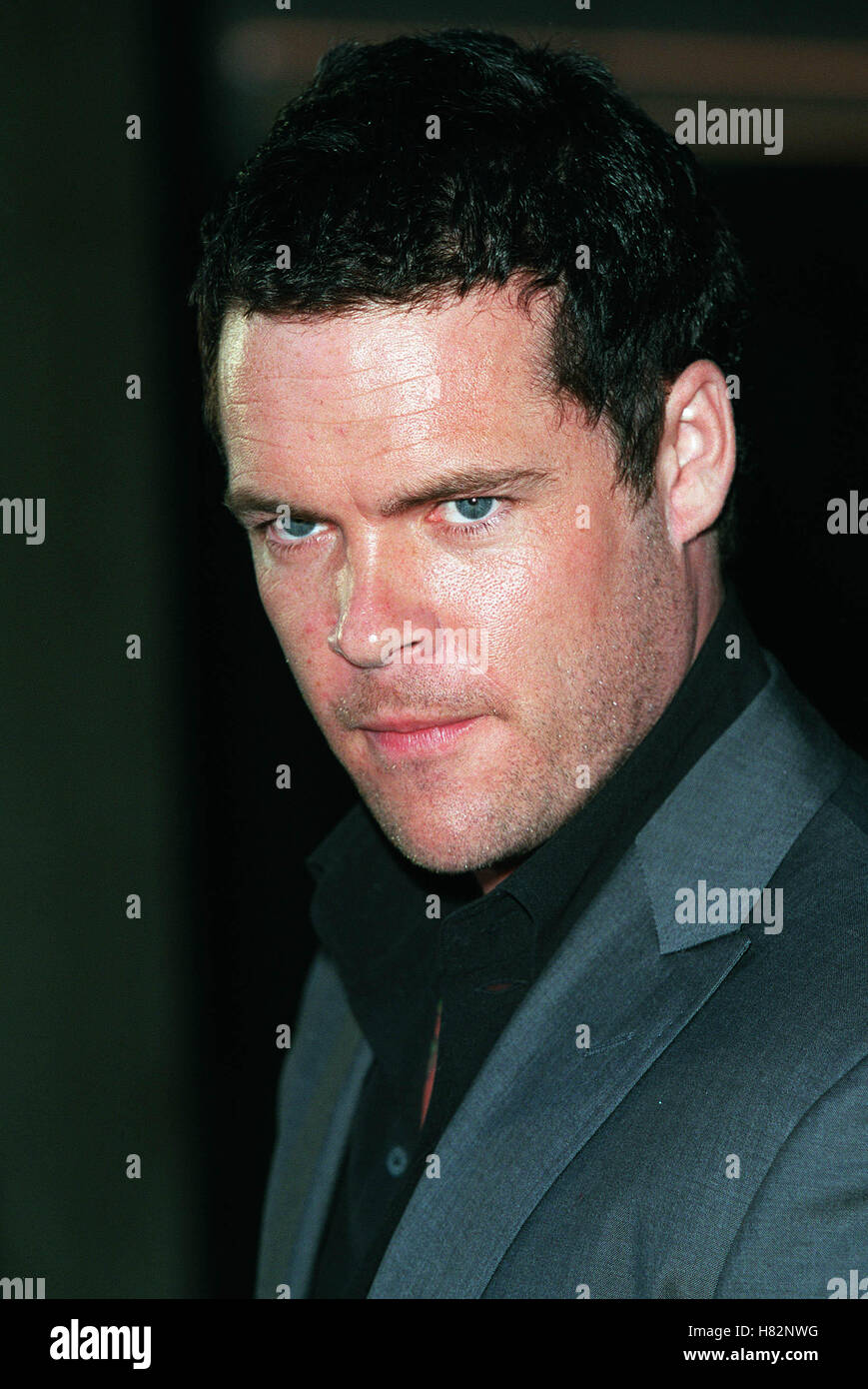MATT SCHULZE "KISS OF THE DRAGON" PREM Jahrhundert FILMSTADT LOS ANGELES USA 25. Juni 2001 Stockfoto