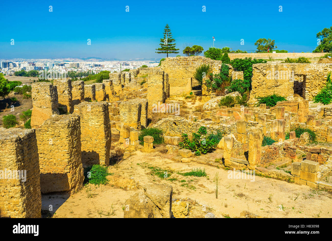 Die große archäologische Stätte von Karthago auf dem Byrsa-Hügel, Tunesien. Stockfoto