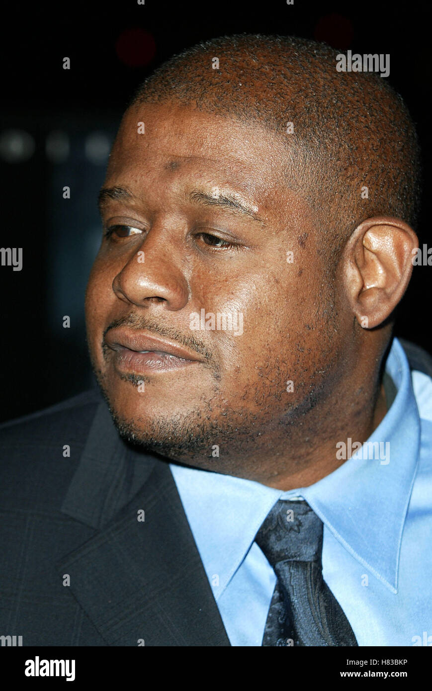 FOREST WHITAKER Panik Zimmer FILM PREMIERE CENTURY CITY LOS ANGELES USA 18. März 2002 Stockfoto