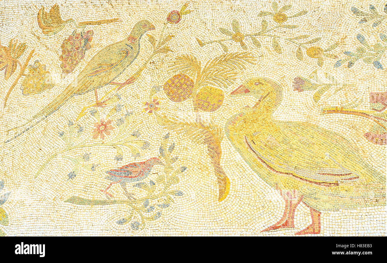 Die antiken Mosaiken, Darstellung, Vögel und verschiedene Pflanzen in archäologischen Stätte von Roman Villas, Carthage Stockfoto