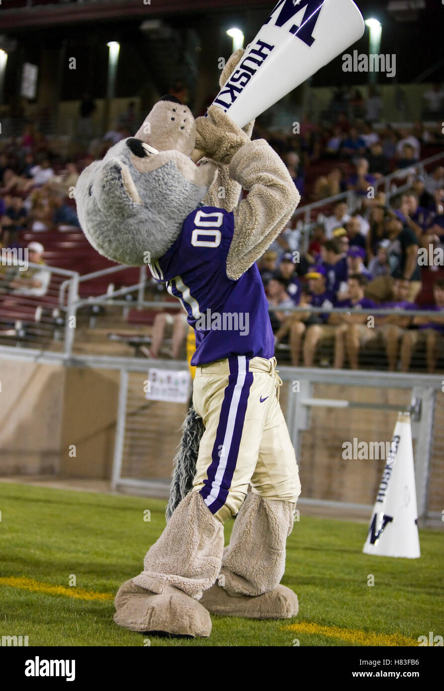 26. September 2009; Stanford, CA, USA;  Das Washington Huskies Maskottchen im vierten Quartal gegen Stanford Kardinal Stanford Stadium. Stanford gewann 34-14. Stockfoto