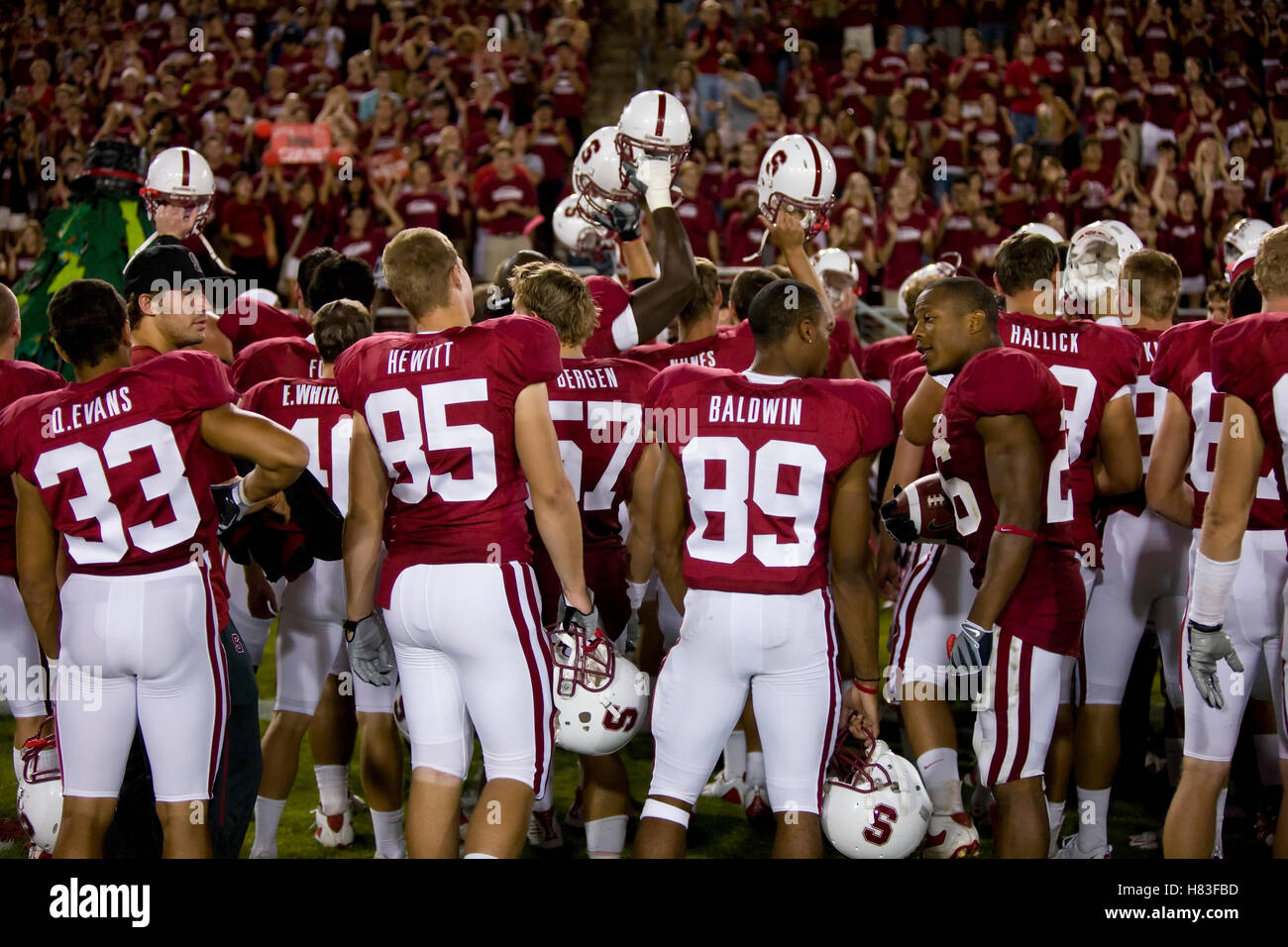 September 26, 2009, Stanford, CA, USA; Stanford Kardinal wide receiver Doug Baldwin (89) und Festes Ende Ryan Hewitt (85) und cornerback Quinn Evans (33) und Sicherheit delano Howell (26) Ihre 34-14 Sieg der Washington huskies an der Stanford stad Feiern Stockfoto