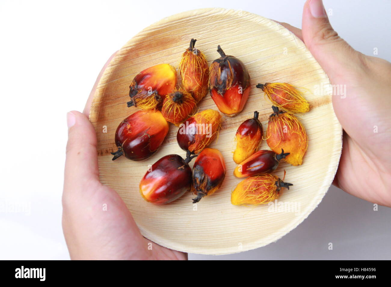 Palmöl ist ein pflanzliches Speiseöl Mesokarp (rötliches Fruchtfleisch) der Frucht der Ölpalme abgeleitet Stockfoto