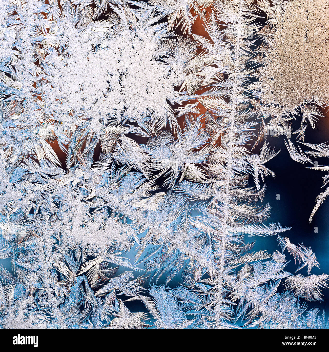 Textur von Eisblumen im Winter Fensterglas Stockfoto