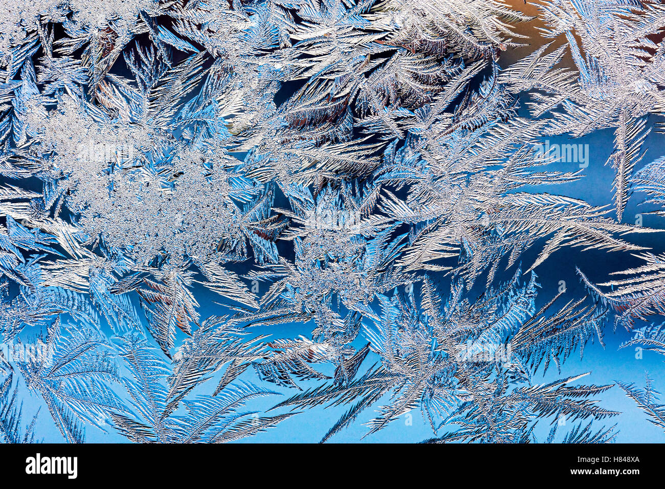 frostige Weihnachten Muster im Winter Fensterglas Stockfoto