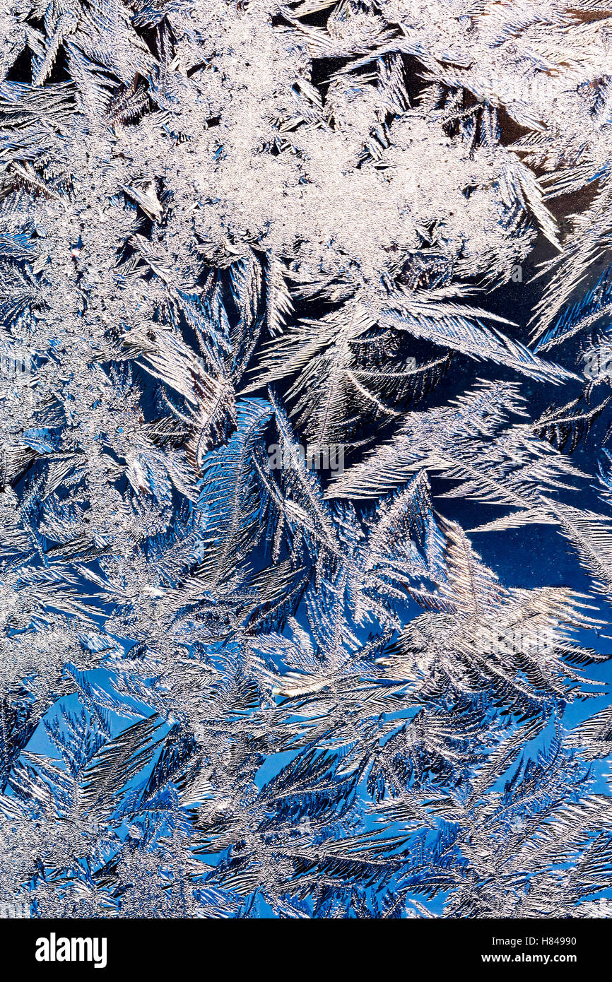 Textur von Eisblumen im Winter Fensterglas Stockfoto