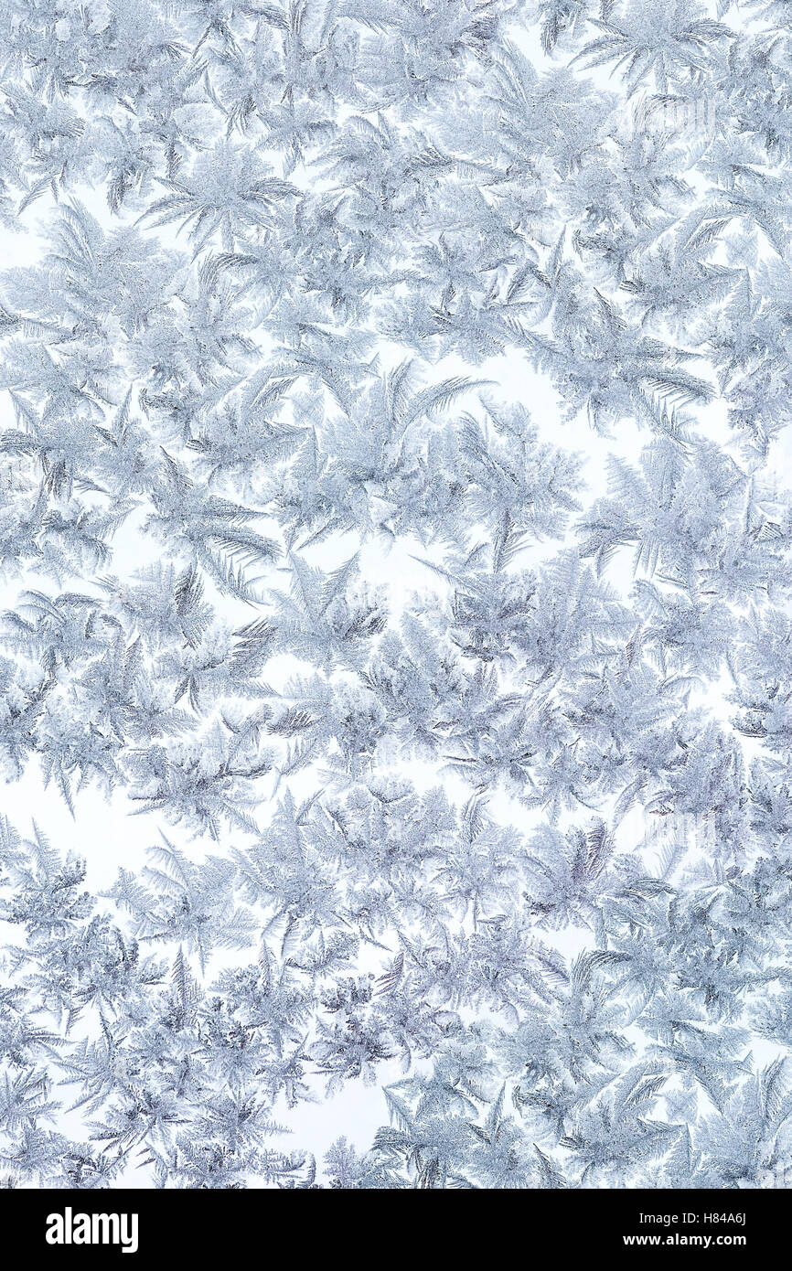 frostige Weihnachten Muster auf gefrorenen Winter Fensterglas Stockfoto