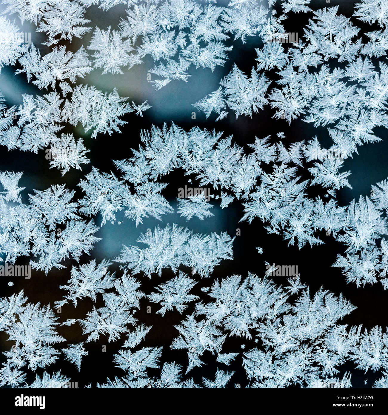 frostigen natürliche Muster auf gefrorenen Fensterglas Stockfoto