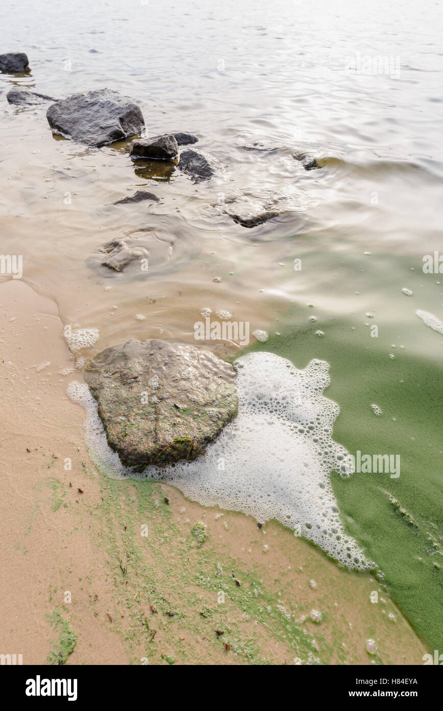 Weißer Schaum Verschmutzung im Fluss Dnepr in Kiew Stockfoto