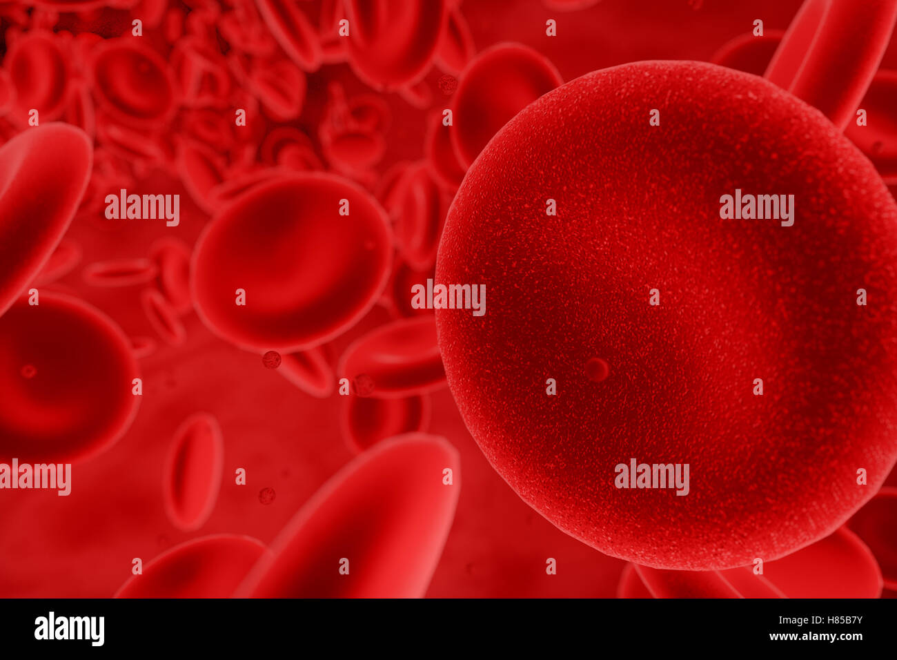 abstrakte Erythrozyten 3D-Illustration, wissenschaftlichen oder medizinischen oder mikrobiologischen Hintergrund Stockfoto