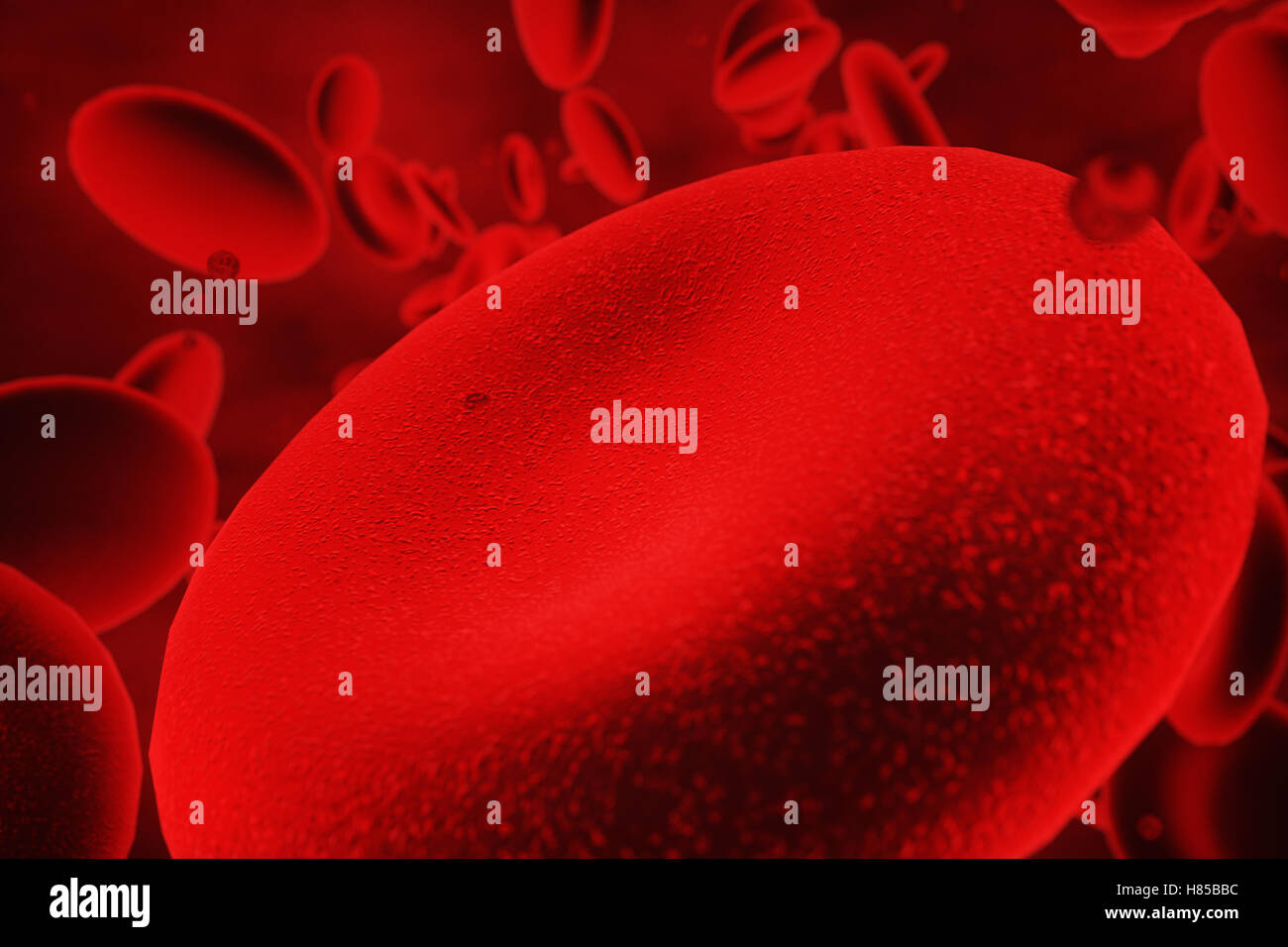 abstrakte Erythrozyten 3D-Illustration, wissenschaftlichen oder medizinischen oder mikrobiologischen Hintergrund Stockfoto