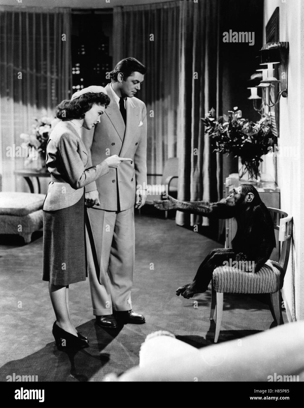 Tarzans abenteuer in new york Fotos und Bildmaterial in hoher