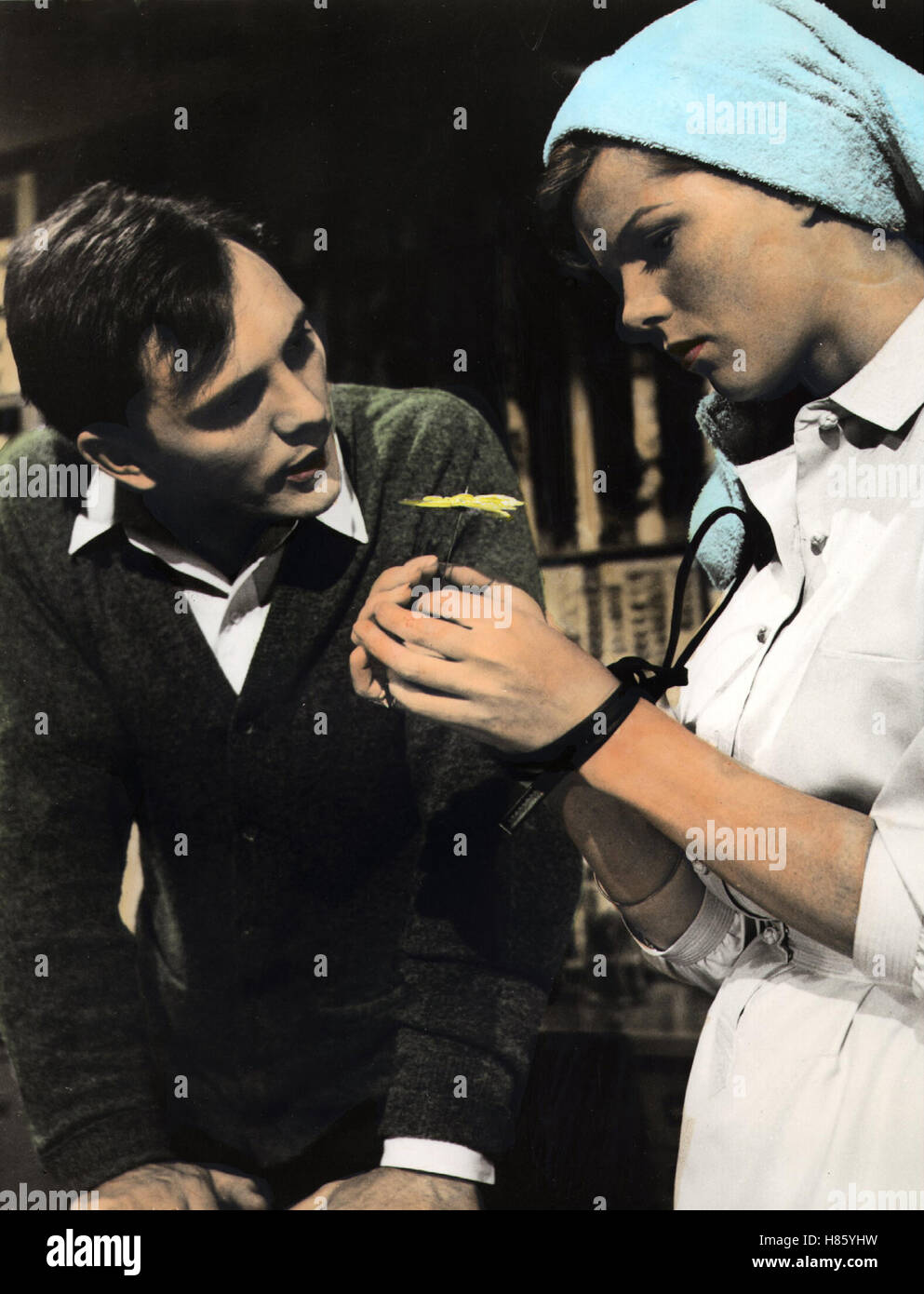 Der Fänger, (Kollektor) USA 1964, Regie: William Wyler, TERENCE STAMP, SAMANTHA EGGAR Stockfoto