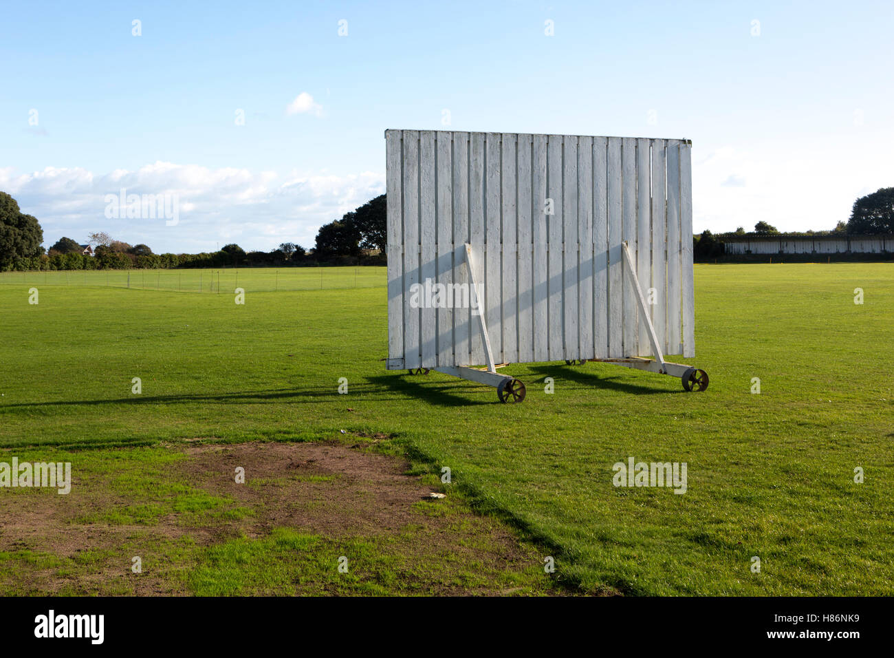 Ein Cricket-Seitenblende Stockfoto