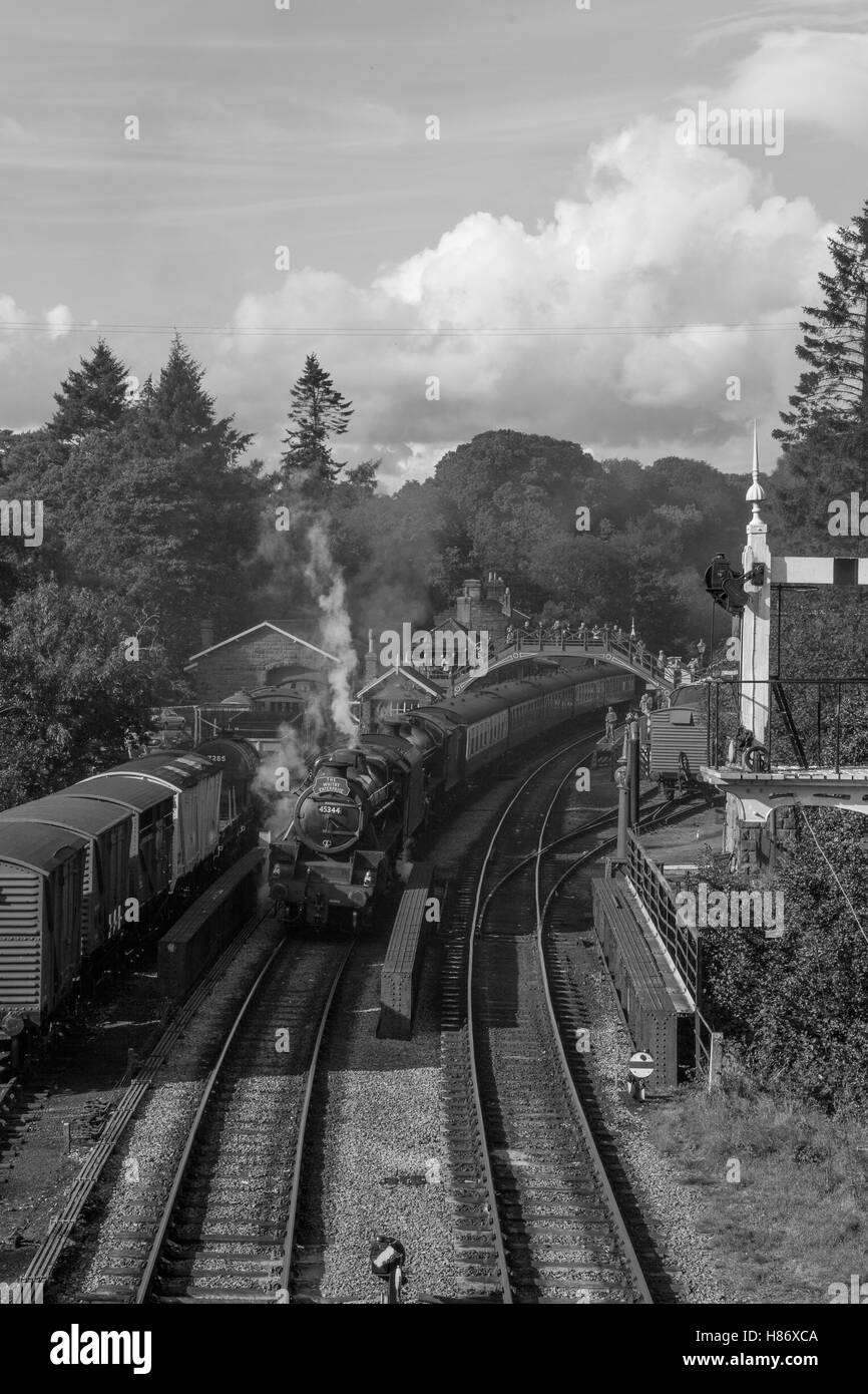Schwarz 5 45428 (als 45344) und B1 61264 in Goathland auf der North Yorkshire Moors Railway.Welsh Dampf-Gala. Stockfoto