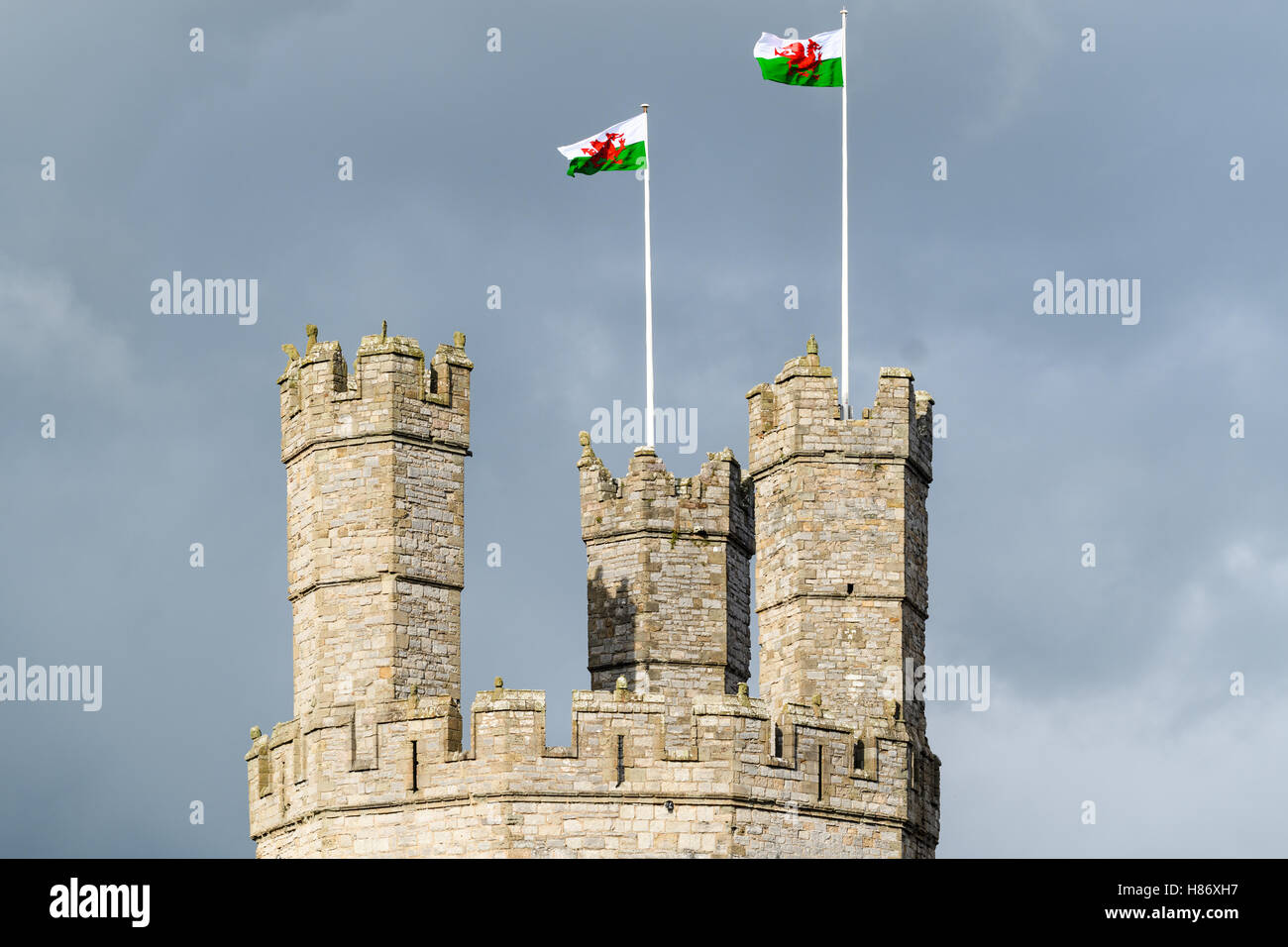 Burg in Caernarfon, Wales. Stockfoto
