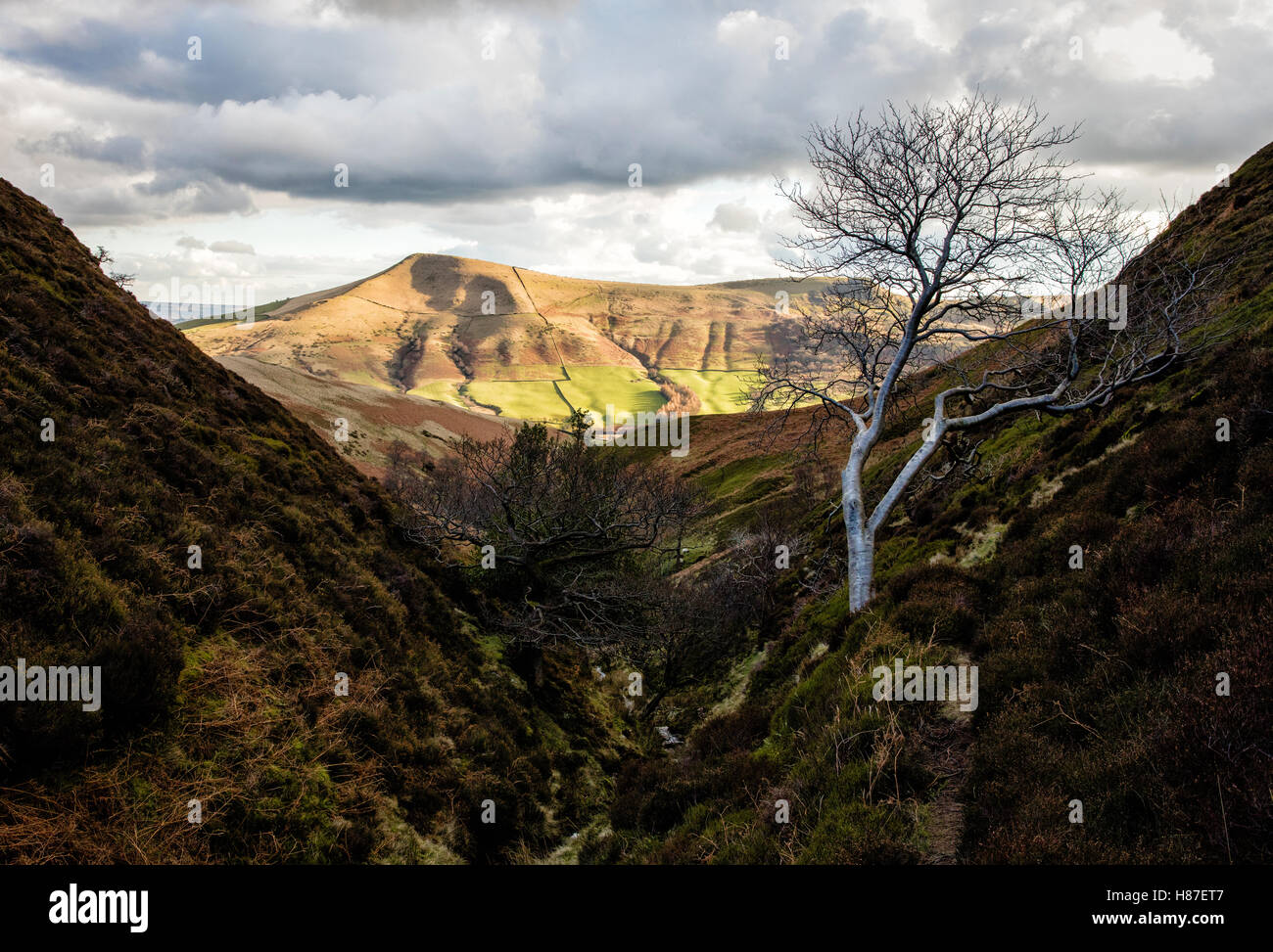 Sonnendurchflutete Lose Hill von den steilen Tal Lady Clough auf Kinder Scout in Derbyshire Peak District Großbritannien Stockfoto