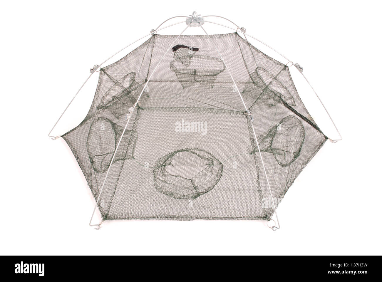 Falle net für Krebstiere isoliert auf weißem Hintergrund mit weichen Schatten grün Stockfoto
