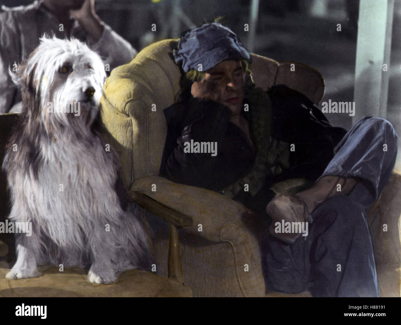 In der Gewalt der Unterirdischen, (ein Junge und sein Hund) USA 1975,  Regie: L. Q. Jones, DON JOHNSON, Stichwort: Hund, Sessel Stockfotografie -  Alamy