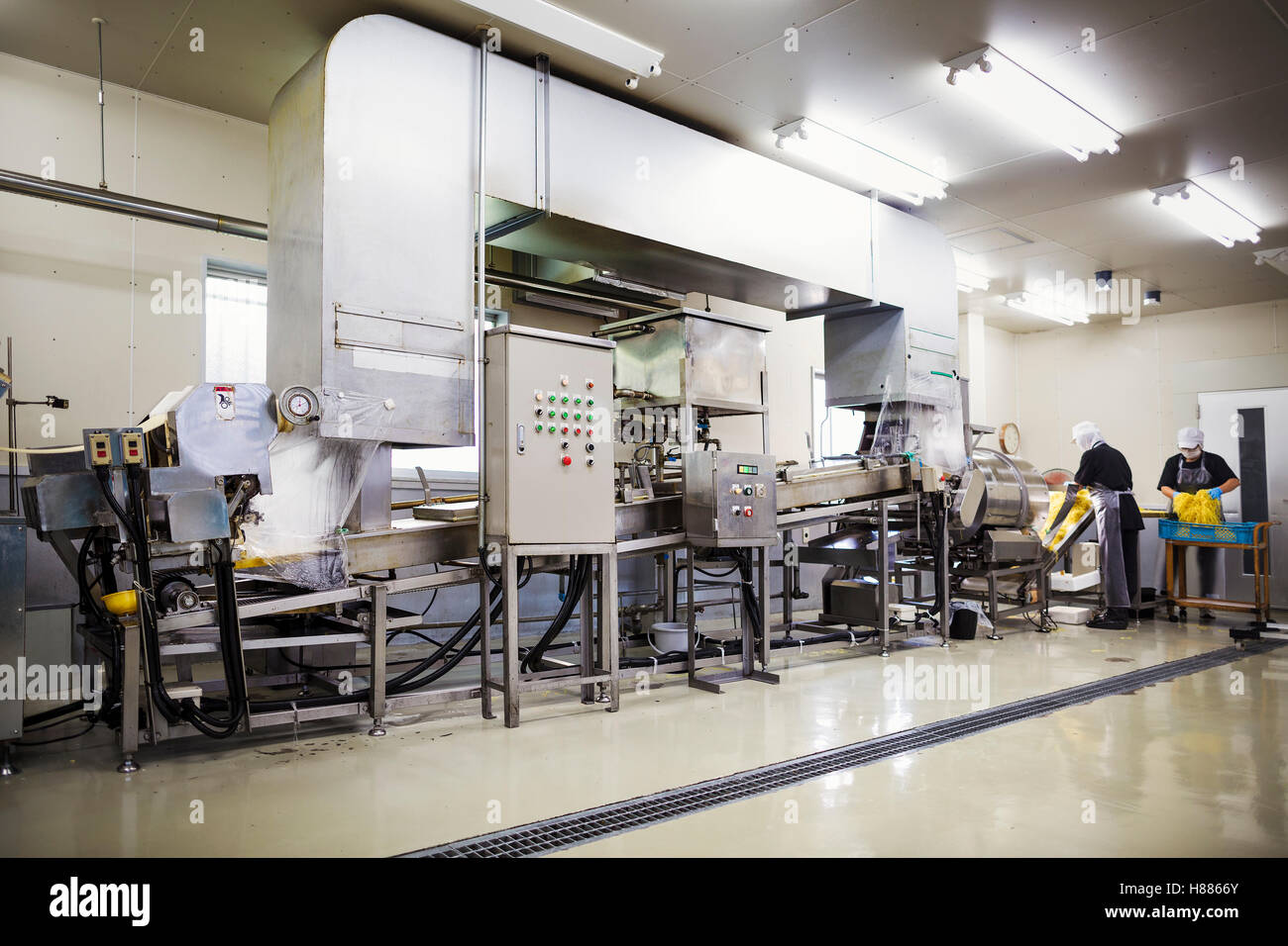 Arbeiter in einer Fabrik zur Herstellung von Soba-Nudeln, Überprüfung des frischen Schnitt Nudeln aus der Maschine. Stockfoto