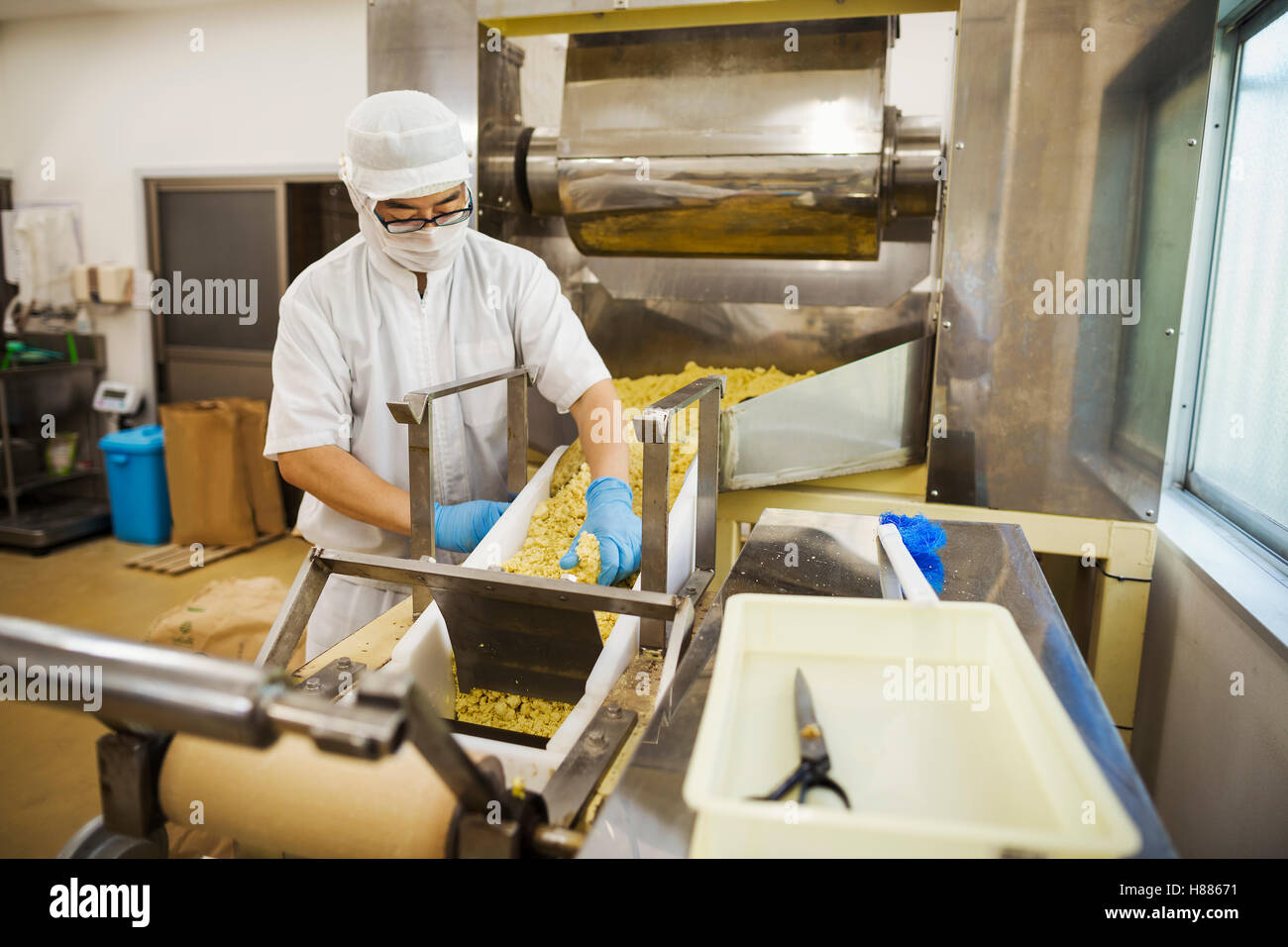 Arbeitnehmer mit Schürze und Hut mit blauen Handschuhen sammeln frisch geschnitten Soba-Nudeln aus dem Förderband. Stockfoto