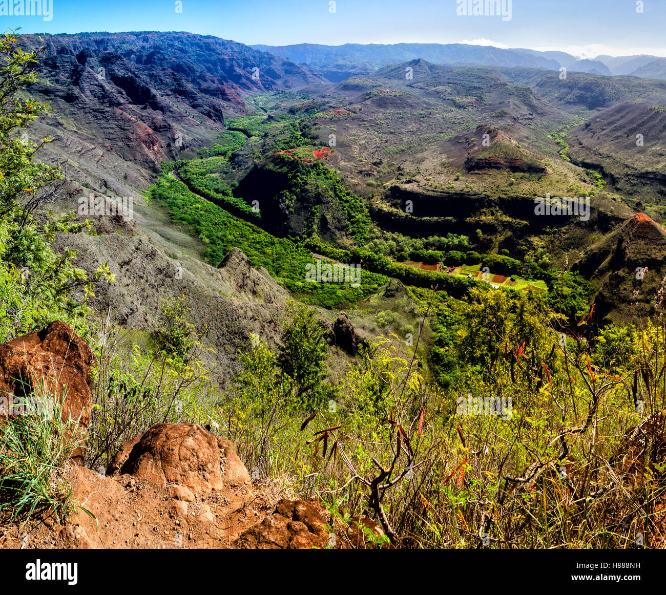 Ausblick über den Waimea Canyon auf Kauai, Hawaii, USA. Stockfoto