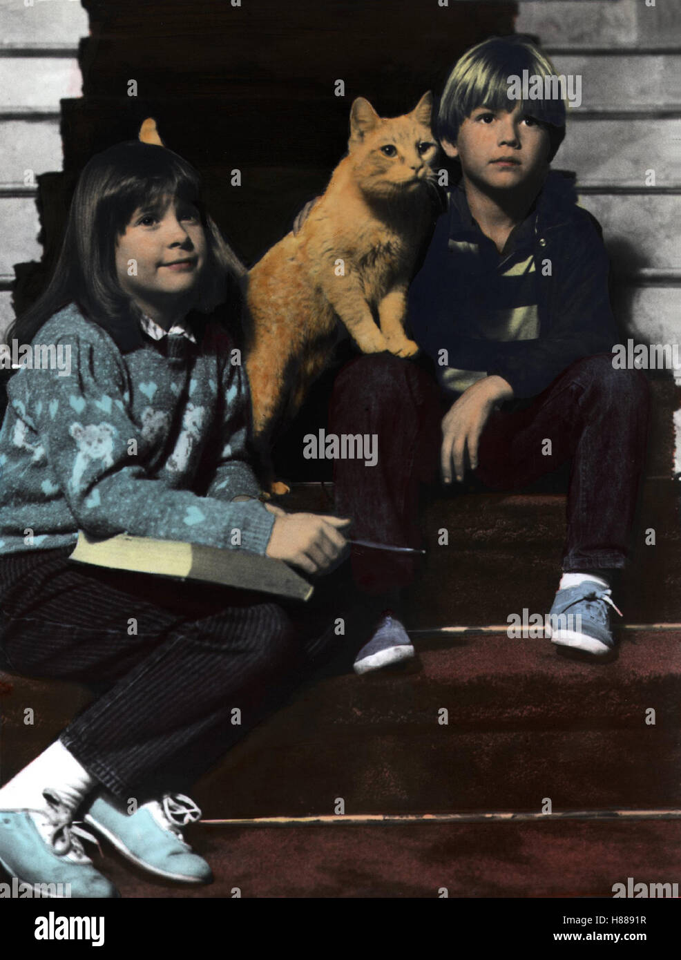 Super-Cat, Die Reichste Katze der Welt (THE reichsten CAT IN THE WORLD) USA 1986, Regie: Gregg Beeman, KELLIE MARTIN, Palmer die Katze + BRANDON CALL, Stichwort: Katze, Kinder Stockfoto