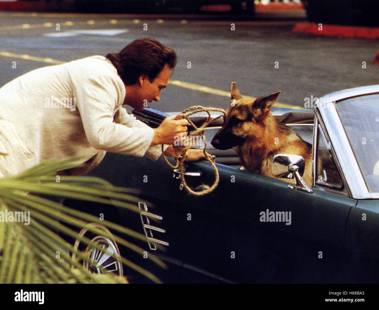 Mein Partner Mit der Kalten Schnauze, (k-9) USA 1988, Regie: Rod Daniel, JAMES BELUSHI, Stichwort: schäferhundgroßen, Hund, Hundeleine, Cabrio Stockfoto