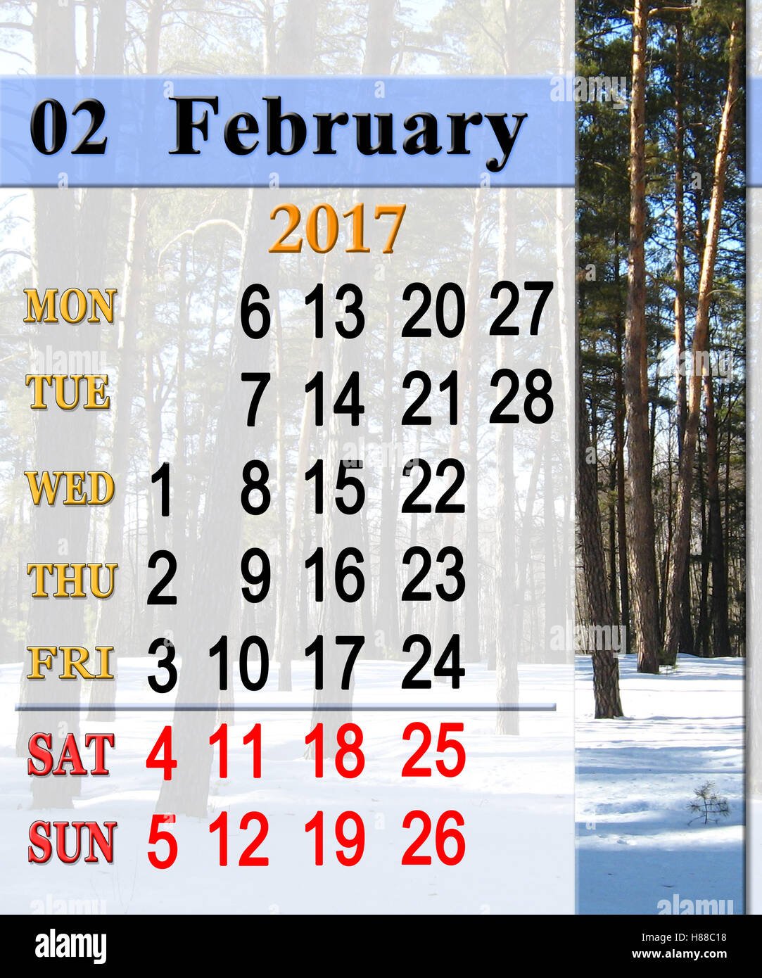 Kalender Februar 2017 mit Bild von Kiefern im Wald Stockfoto