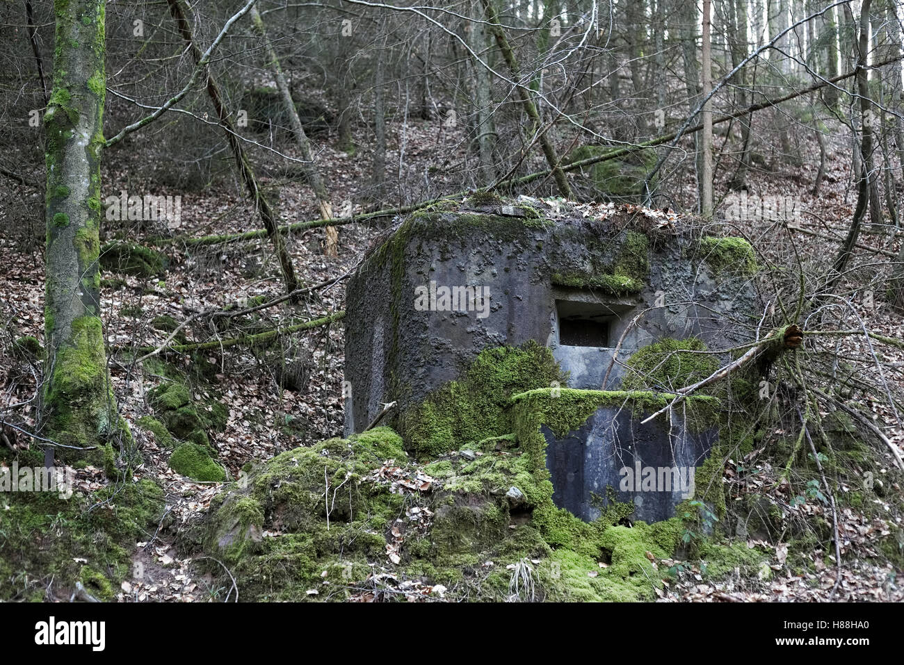 Französischen Bunker in der Nähe Langensoultzbach, Vogesen, Frankreich. Es wurde vor dem zweiten Weltkrieg als Teil der Maginot-Linie gebaut. Stockfoto