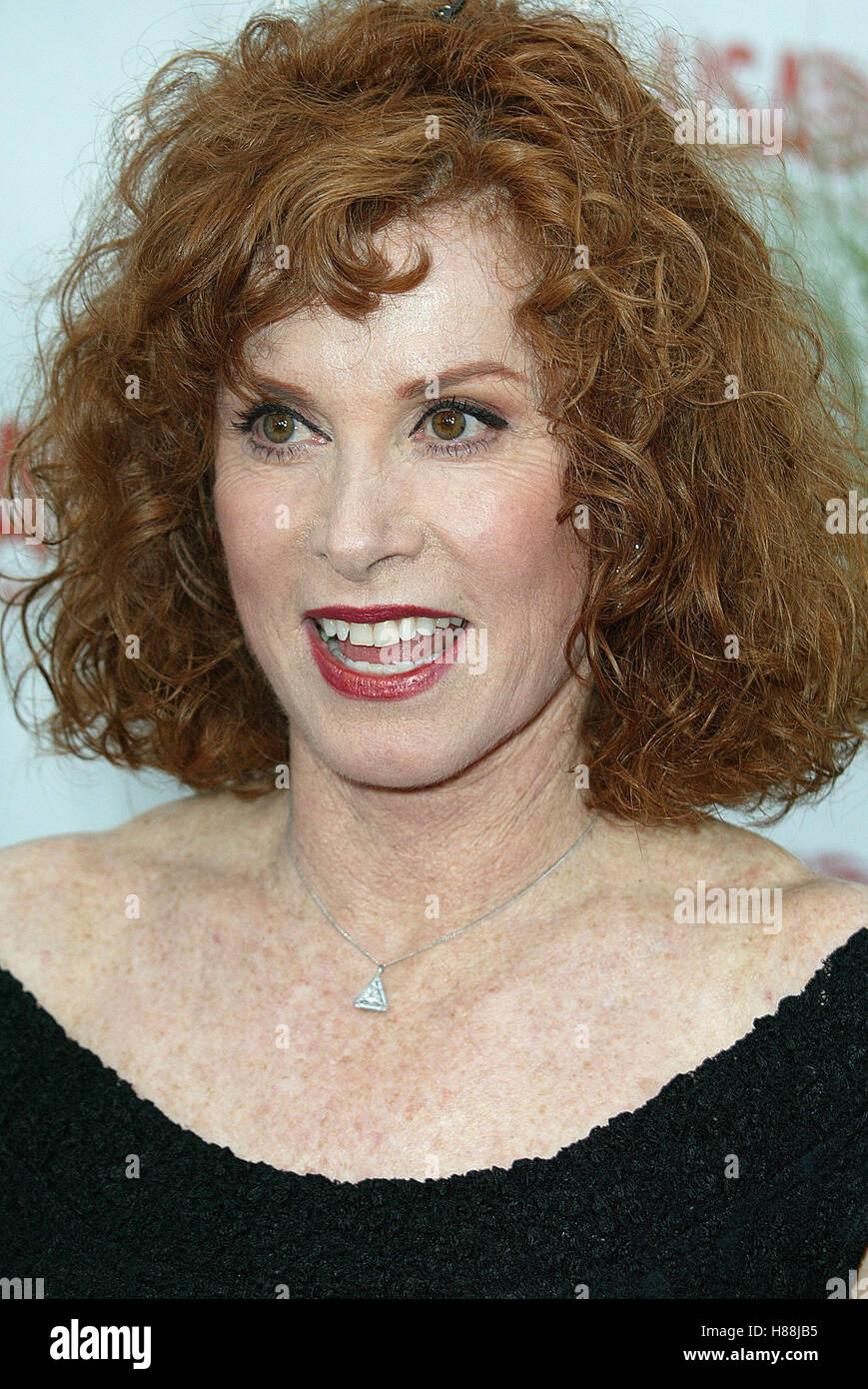 STEFANIE POWERS 31. AFI LIFETIME ACHIEVEMENT KODAK THEATRE HOLLYWOOD LOS ANGELES USA 12. Juni 2003 Stockfoto