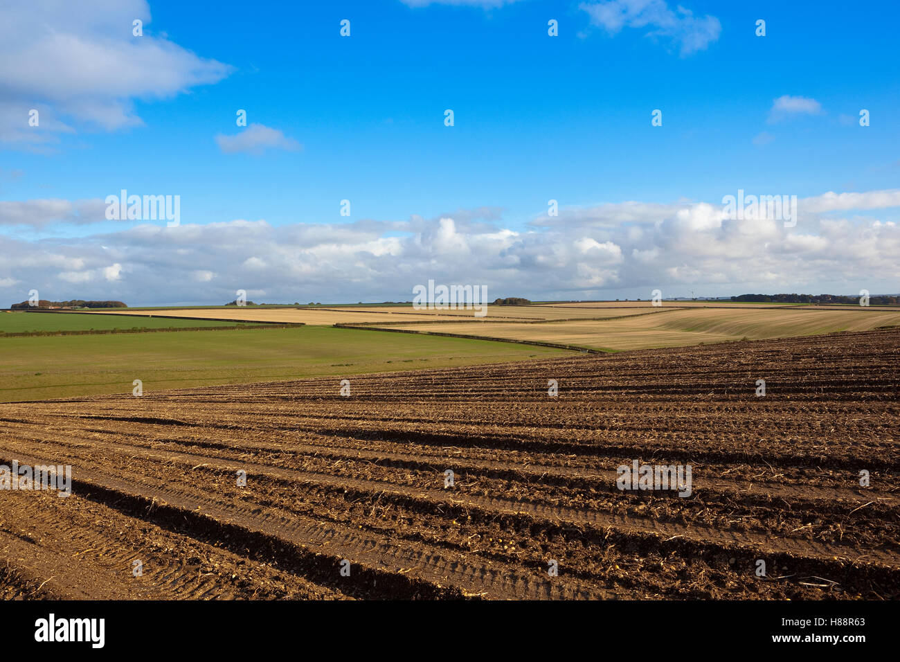 Muster und Textur des nassen schlammigen Boden in einem abgeernteten Kartoffelfeld in die malerische Landschaft der Yorkshire Wolds im Herbst. Stockfoto