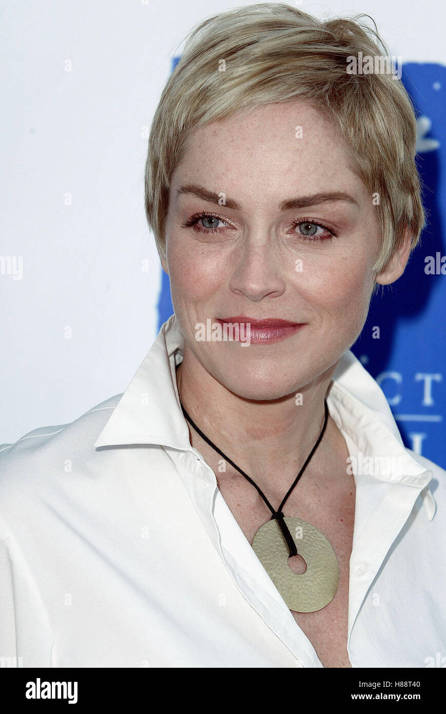 SHARON STONE 10. ANGEL FOOD ANGEL vergibt Projekt ANGEL FOOD LOS ANGELES USA 8. August 2003 Stockfoto