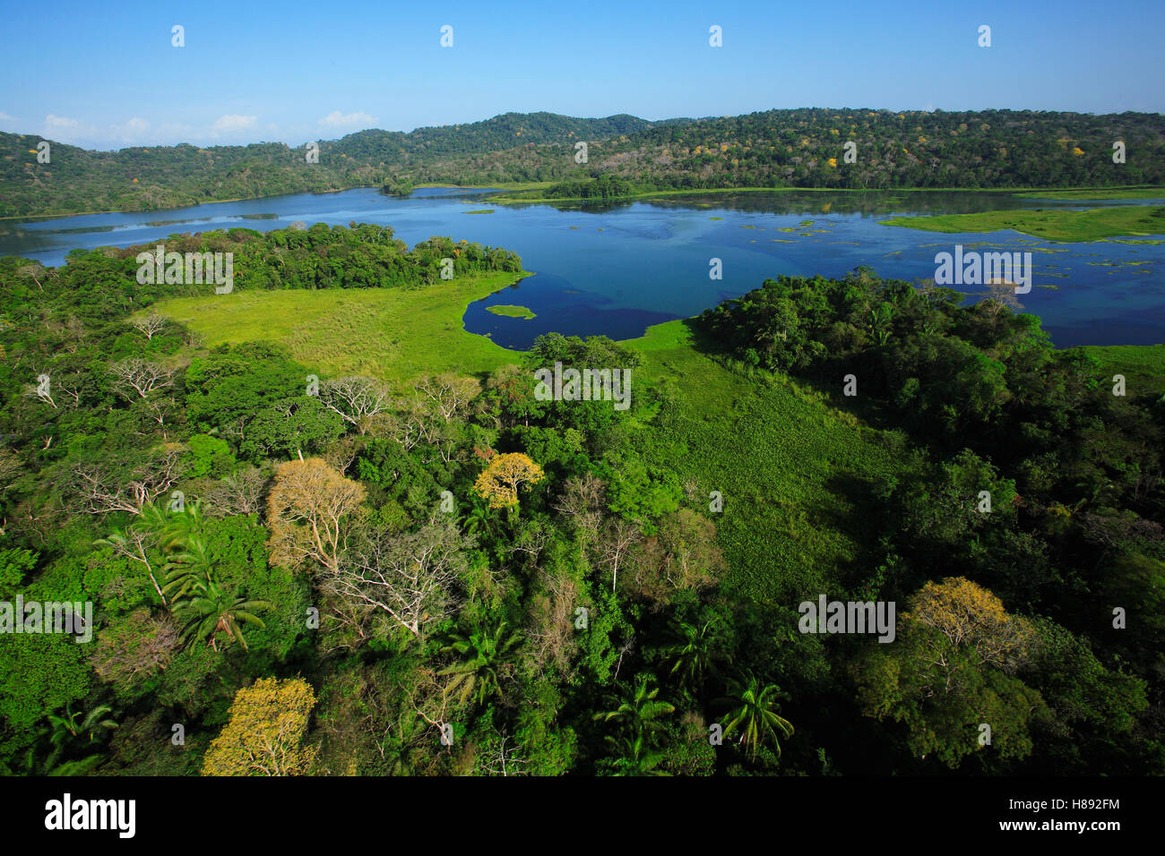Luftbild von der Kanalzone Chagres River die Gatun See, in Soberania Nationalpark, Panama-feeds Stockfoto