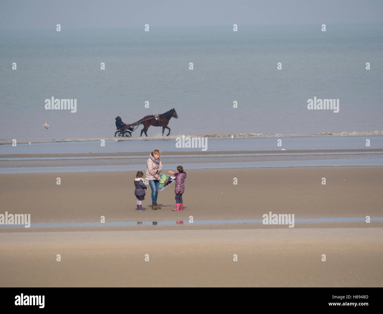 Ein Pony und Trap Pässe als Familie vorbereiten, fly a Kite an einem Wintertag auf dem sandigen Strand De Panne, Flandern, Belgien Stockfoto