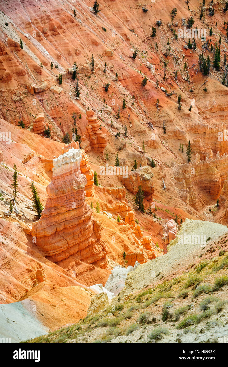 Cedar Breaks National Monument Stockfoto