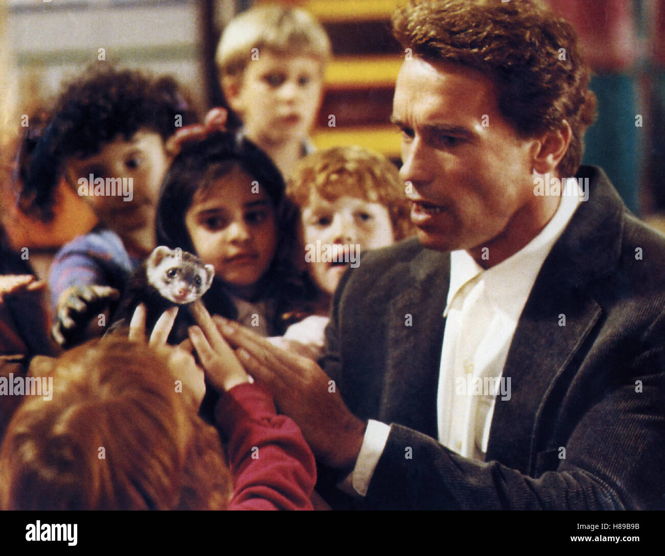 Kindergarten Cop, (KINDERGARTEN COP) USA 1990, Regie: Ivan Reitman, ARNOLD SCHWARZENEGGER Stockfoto