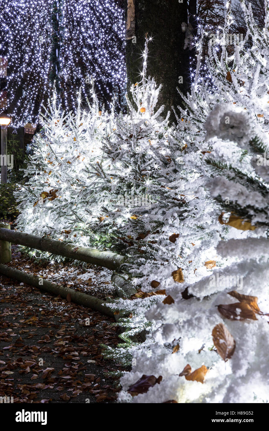 Weihnachtsschmuck an Center Parcs Longleat Forest Stockfoto