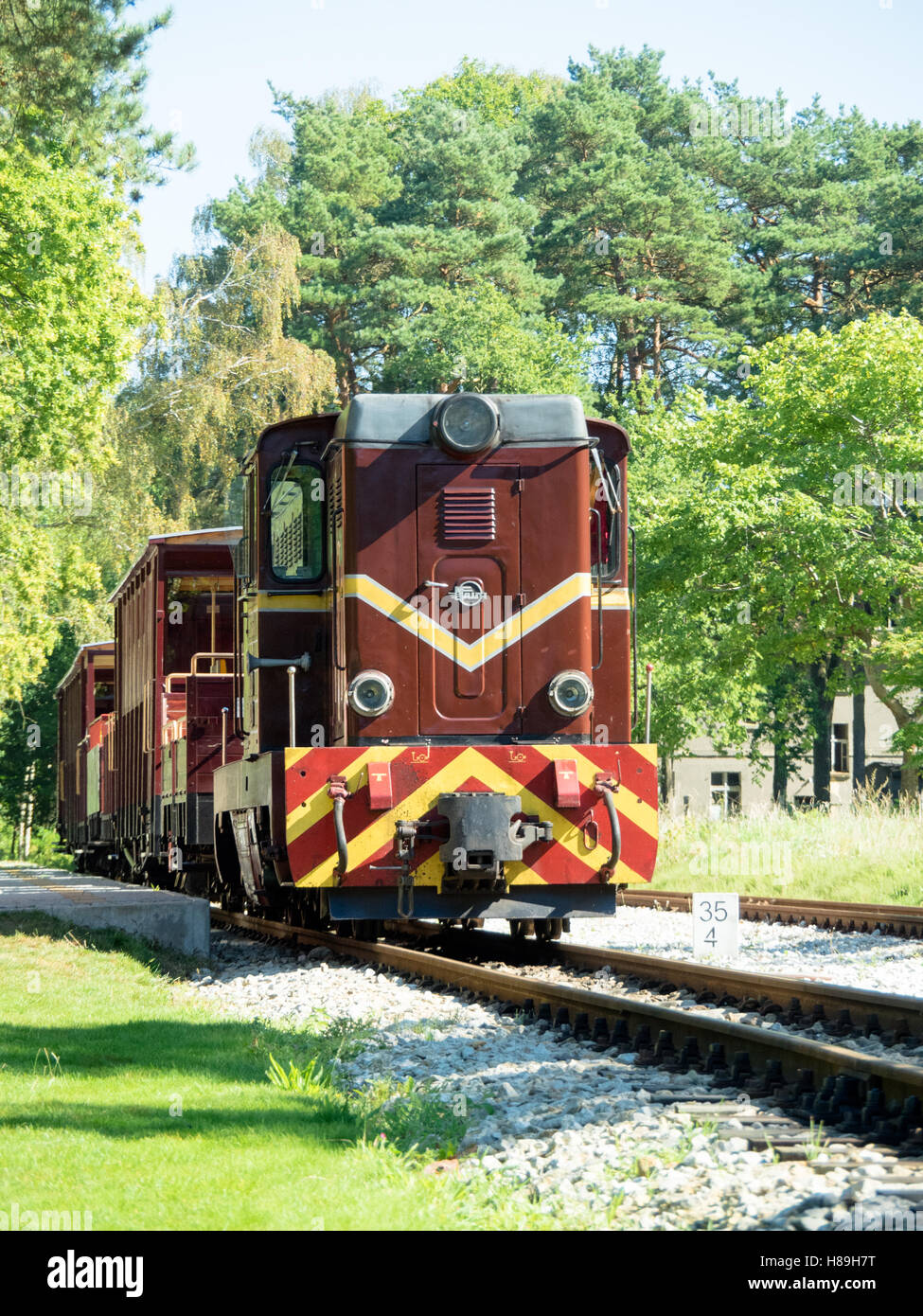 Schmalspurbahn Stockfoto