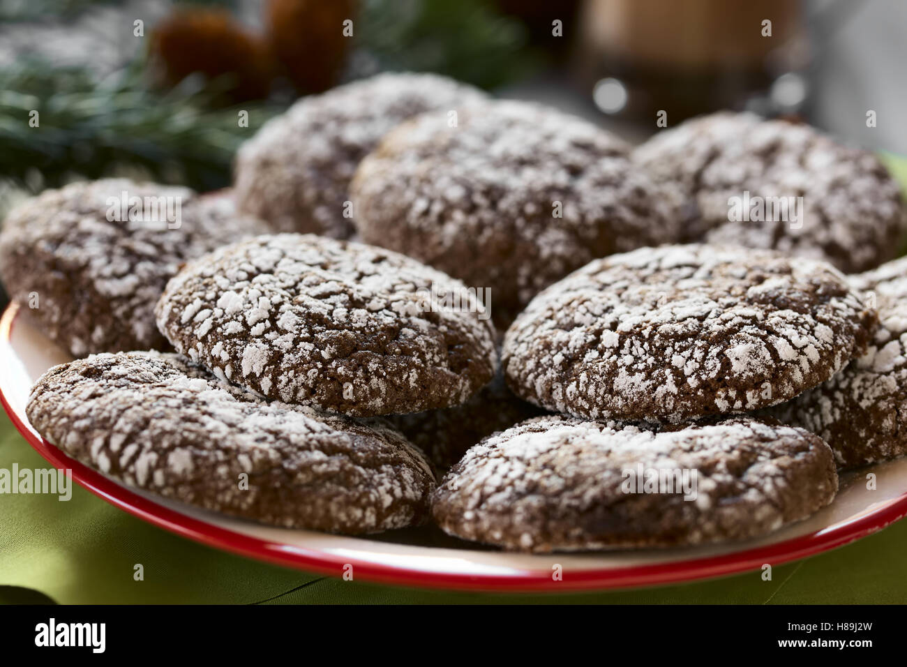 Schokolade Crinkle Cookies, traditionellen American Christmas Cookies, fotografiert mit natürlichem Licht (Tiefenschärfe) Stockfoto