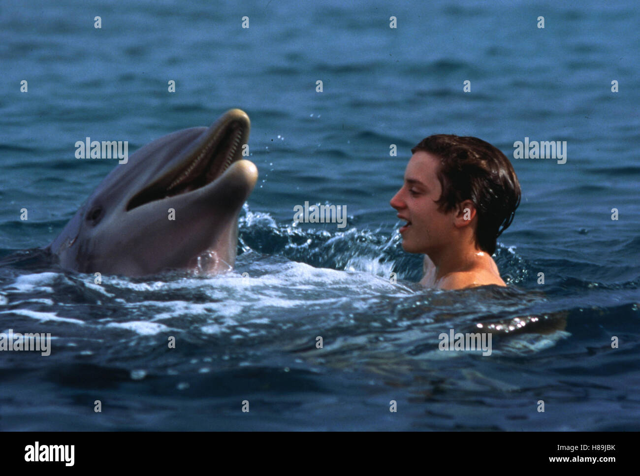 Flipper, (FLIPPER) USA 1996, Regie: Alan Shapiro, ELIJAH WOOD, Stichwort: Meer, Wasser, Delphin Stockfoto