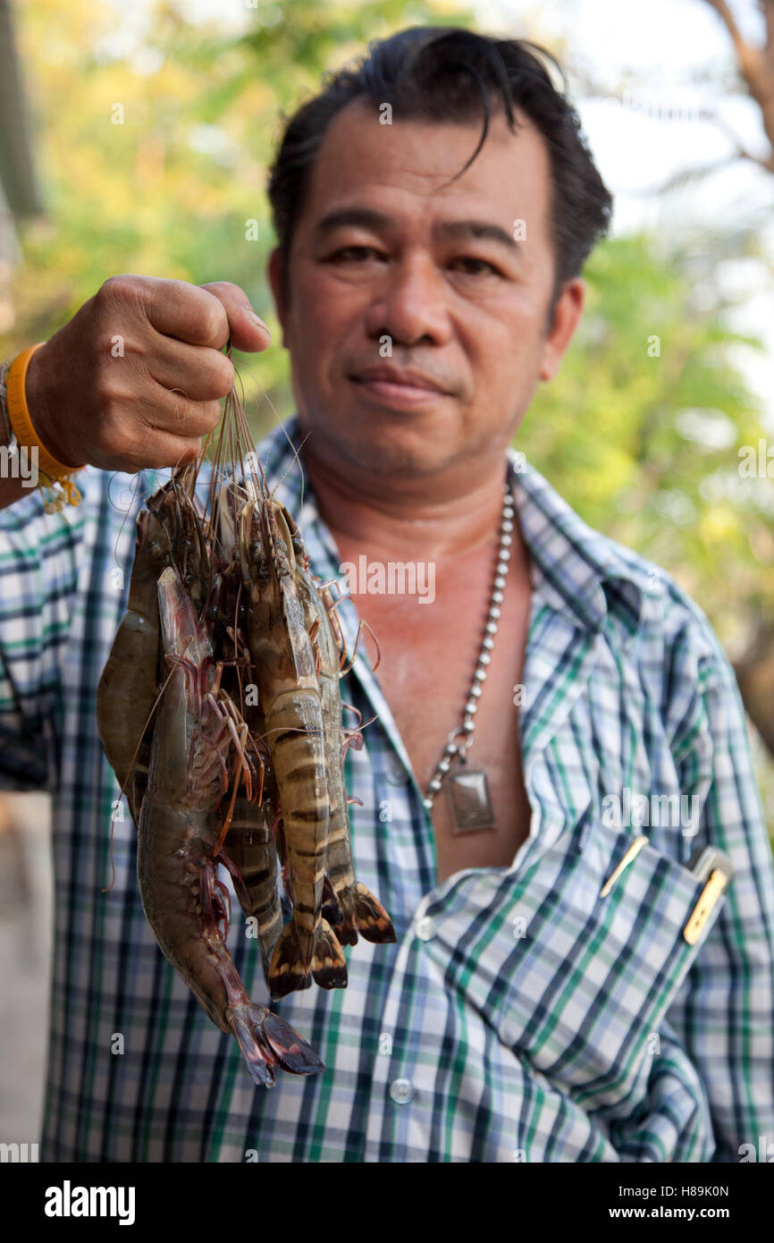 Eine Garnele Landwirt in Thailand hält ein Bündel von Zuchten Garnelen auf seiner Farm aufgezogen. Stockfoto