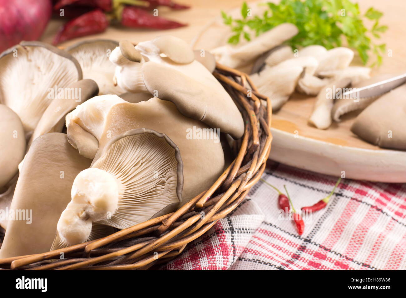 Handvoll frische Austernpilze kochbereit Stockfoto