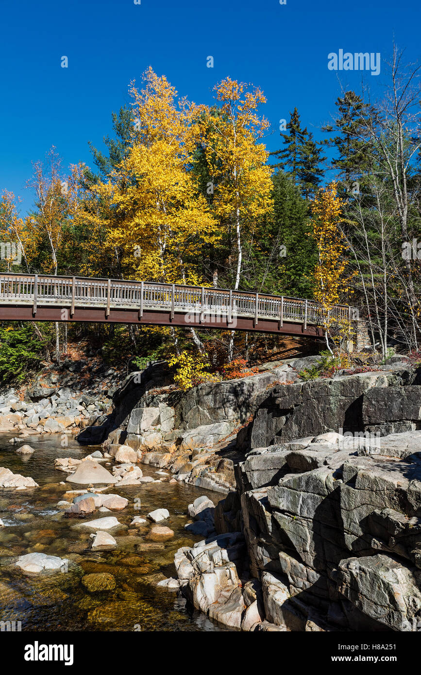 Felsenschlucht Naturgebiet und Swift River, White Mountains National Forest, New Hampshire, USA. Stockfoto